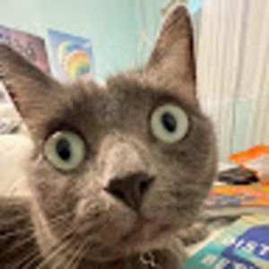 Meet your Posher, Daniela